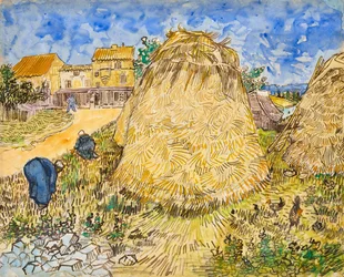 búzaveremek