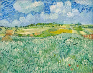 Síkság Auvers közelében