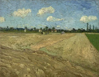 Felszántott mezők („A barázdák“)