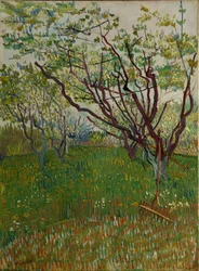 A virágos gyümölcsöskert, 1888.