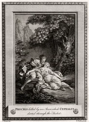 Prokrisz megölte egy nyílvesszővel, amelyet Cephalus a bozótoson keresztül lökött át, 1775