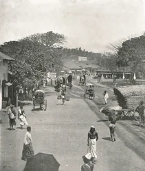 Utcai jelenet a városháza közelében, Colombo, Ceylon, 1895.