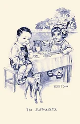 A szüfrazsett