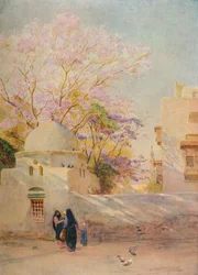 A Jacaranda, 1905, 1912