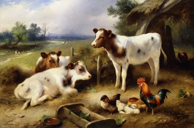 Farmyard Barátok