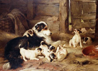 A nevelőanya
