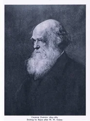 Charles Darwin rézkarca, Nature in Britain kiadó: Collins