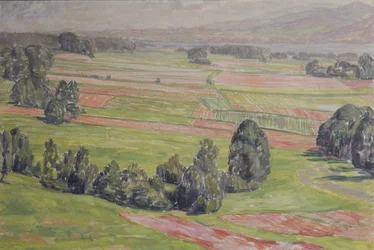 Mezők a Mattsee-ben