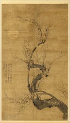 Prunus a holdfényben
