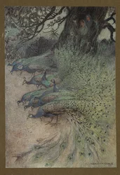 11. tábla: „Pompás tollazatú pávák százai jöttek a töltésekhez, hogy khaít egyenek”, a Folk-Tales of Bengal ... című műből. Warwick Goble 32 színes illusztrációjával. Luxuskiadás.