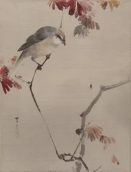Bird on Branch Watching Spider, kb. 1887.
