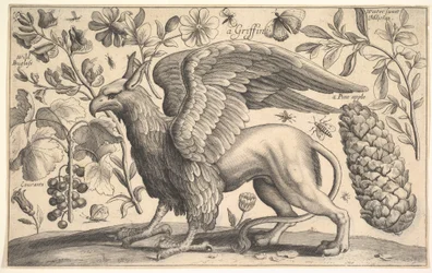 Egy griff, 1625-77.