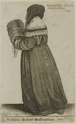 Brabanti nemesasszony