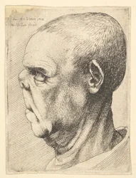 Groteszk öregember lapított orral, balra néző profilban, 1625-77