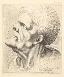 Előreugró állú és pisze orrú, balra forduló profilban felfelé tekintő férfi fejtanulmánya, 1625-77