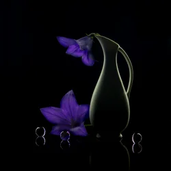 Lila virágok – Sötét elegancia