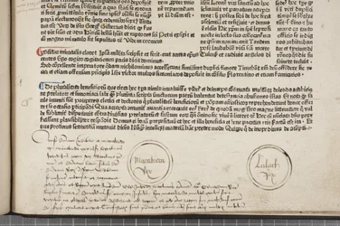 Fol 54 recto, részlet, Metaadatok