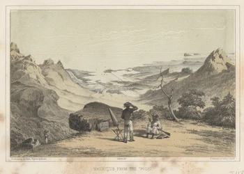 Mauritius a Pouce-ból, 1855