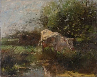 Legelő tehenekkel