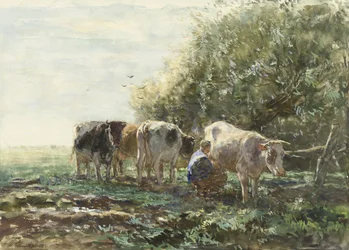 A fejőtoll