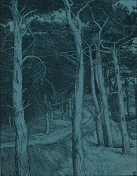 Erdő, 1912