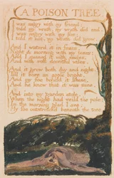 Songs of Inocence and of Experience, 41. tábla, Egy méregfa (Bentley 49)