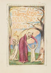 Az ártatlanság és az élmény dalai: A légy, kb. 1825.