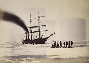 Vadászat Steam segítségével a Melville -öbölben