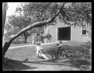 A McCready család gyermekei egy kutyával és egy kiskutyával egy pajta előtti kötélhinta körül gyűlnek össze, 1913 körül.