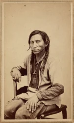 Szürke farkas,1860-as évek (fotó)