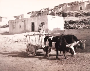 A régi Carreta, Laguna, Új-Mexikó