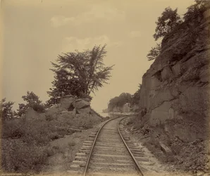 Cayuga-tó, Cat