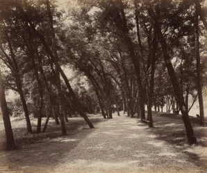 Piknikhely