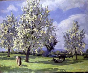 Cotswoldsban