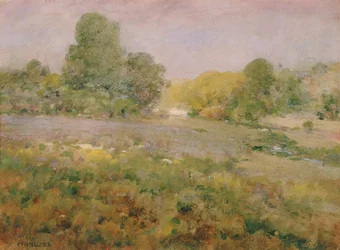 Változatos füvek mezője késő nyáron A Virginia Hillsben, n.d.