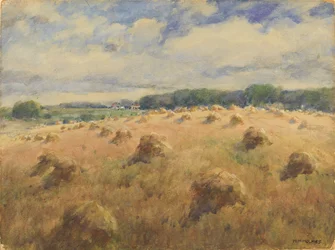 Maryland búzamezők