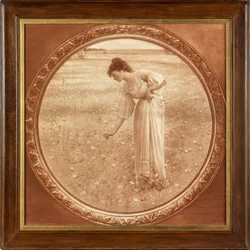 Flowers of the Field (fényképi reprodukció szépia színben nyomtatva)