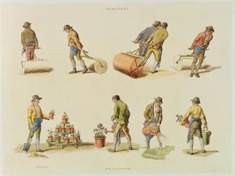 Gardeners, 2. kötet, 97. tábla, a „Microcosm”-ból, nyomtatta J. Hill, 1808 (kézzel színezett akvatinta)