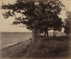 Cayuga-tó, Sheldrake,c. 1895 (fénykép)