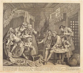 A gereblye fejlődése: pl.7