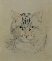 Cirmos macska, 1874 (ceruza, zsírkréta és szén papíron)