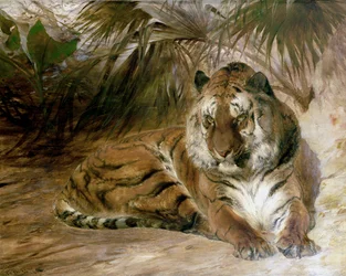 Tigris