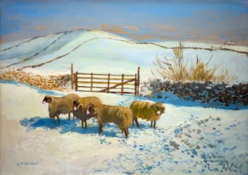 Havazás a Yorkshire Dalesben (olaj a fedélzeten)