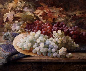 Vörös és fehér szőlő. William Jabez Muckley (1837-1905) festménye Magángyűjtemény.
