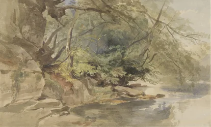 Kilátás Stapleton Woodban, Bristol közelében