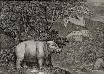 A Jóreménység fokának vízilója, az „Általános világnézet”, 1807