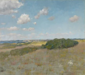 Napfény és árnyék, Shinnecock Hills