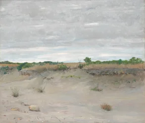 Szélfútta homok, 1894