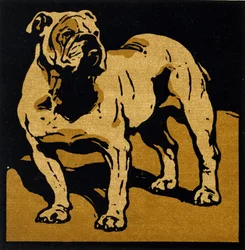 The British Bull-Dog, a 