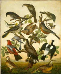Madarak, 1840 körül (olaj, vászon)
